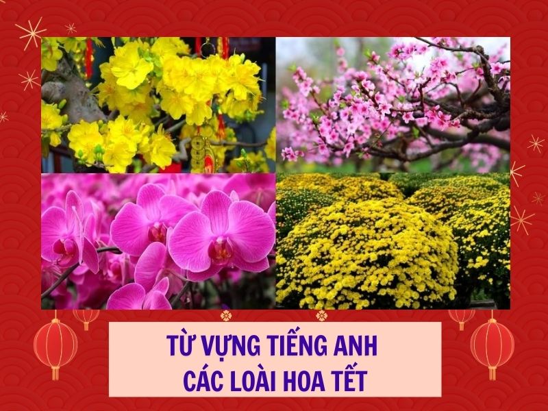 TRỌN BỘ 100+ TỪ VỰNG TIẾNG ANH VỀ TẾT NGUYÊN ĐÁN Ý NGHĨA NHẤT