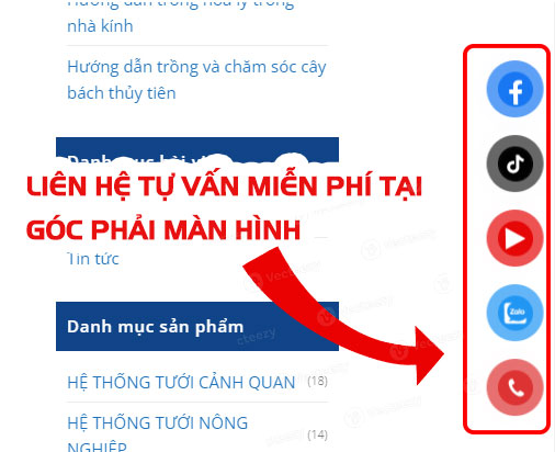 Kỹ thuật thủy canh: Trồng cây trong dung dịch thủy canh là kỹ thuật trồng cây như thế nào?