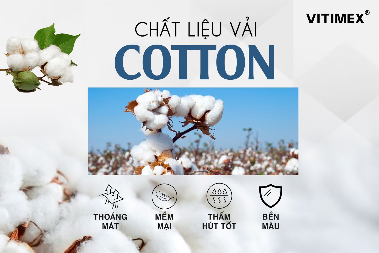 Các Mẫu Áo Sơ Mi Nam Ngắn Tay Cao Cấp Chính Hãng VITIMEX