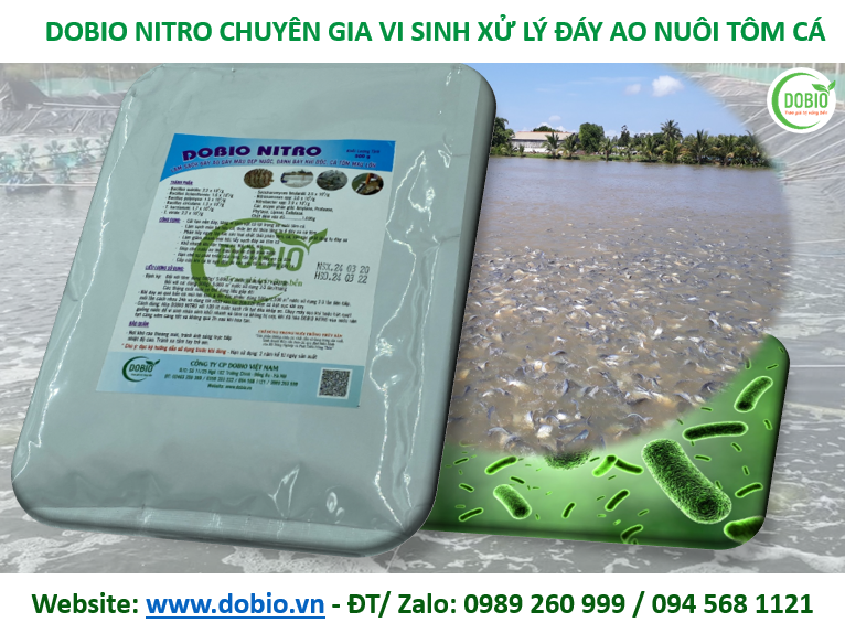 CHẾ PHẨM SINH HỌC MEN VI SINH KHỬ ĐÁY GÂY MÀU NƯỚC AO NUÔI DOBIO NITRO