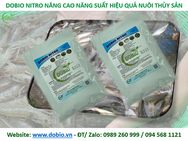 CHẾ PHẨM SINH HỌC MEN VI SINH KHỬ ĐÁY GÂY MÀU NƯỚC AO NUÔI DOBIO NITRO