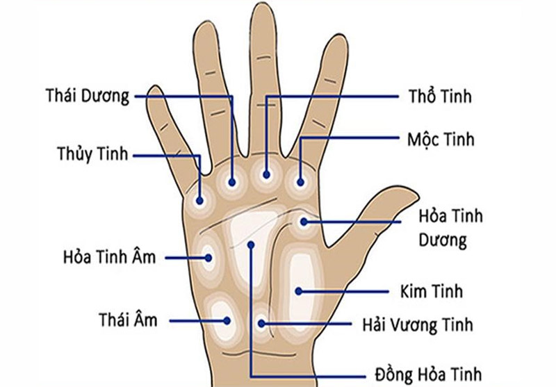 Xem chỉ tay là gì? Luận giải các đường chỉ tay cơ bản