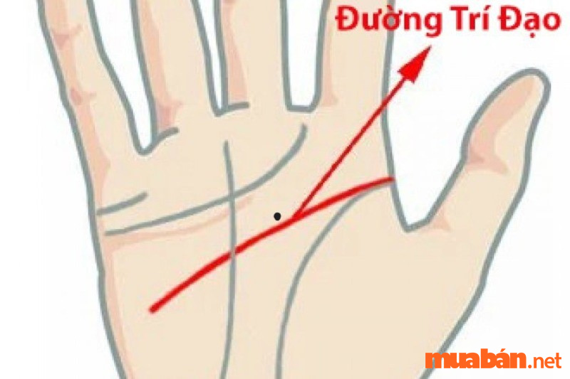 Luận giải nốt ruồi trong lòng bàn tay nam và nữ tốt hay xấu?
