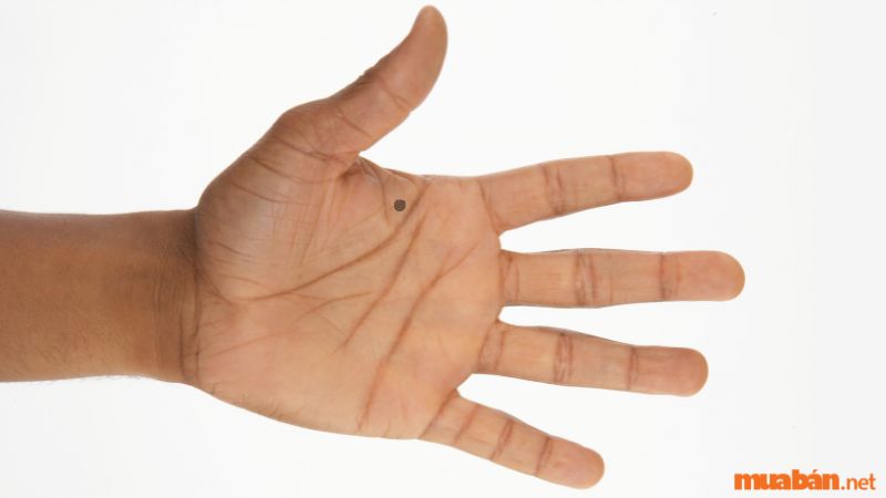 Luận giải nốt ruồi trong lòng bàn tay nam và nữ tốt hay xấu?