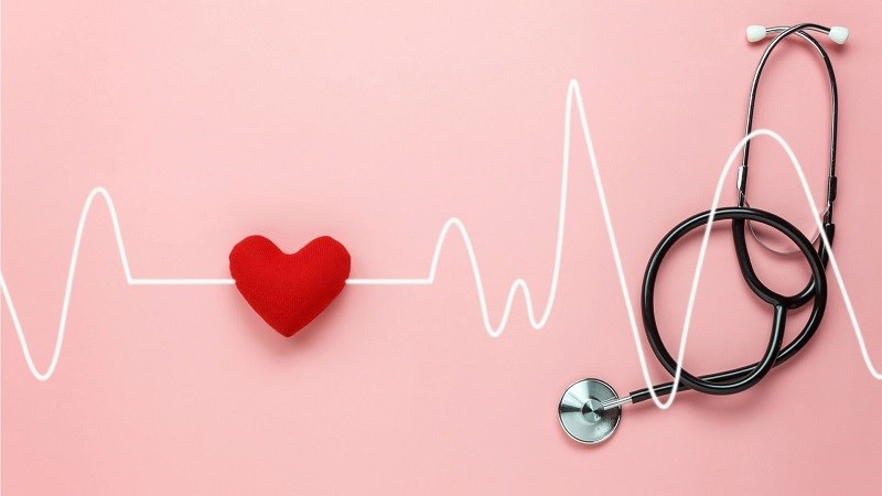 Rau mùi tây Parsley là gì? Có tác dụng gì? Phân biệt mùi tây, cần tây, mùi