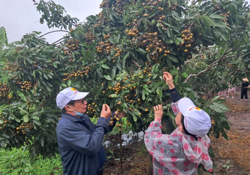 Tour du lịch miền tây 3 ngày 2 đêm