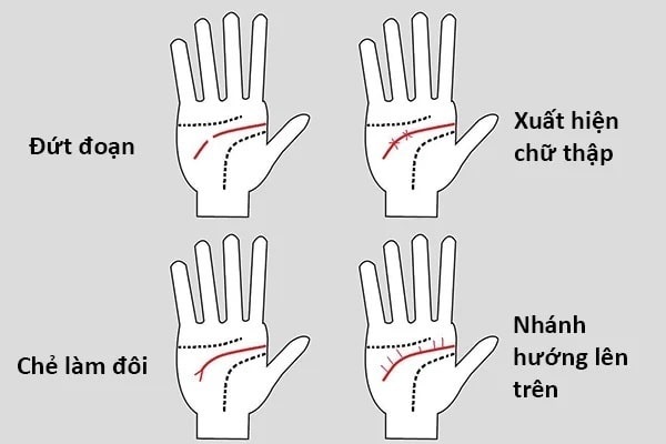 Gợi ý cách xem chỉ tay nữ đơn giản, dễ hiểu