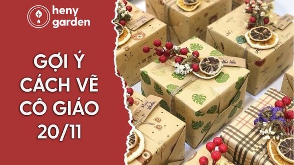 Hướng Dẫn Cách Vẽ Cô Giáo 20/11 Đơn Giản Và Đẹp Nhất