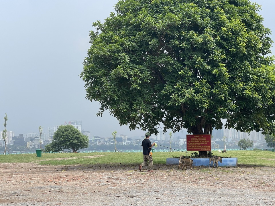 Thông tin thu phí