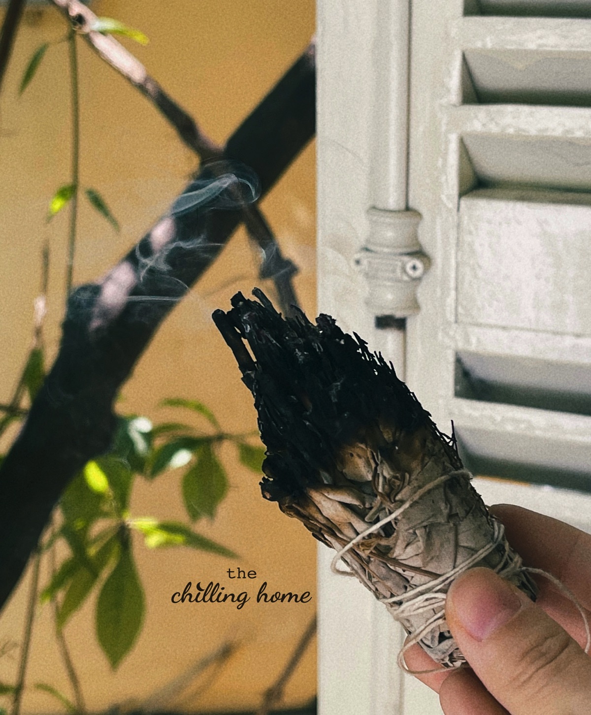 Thanh tẩy bằng khói (Smudging) là gì? Thực hiện thanh tẩy với xô thơm (Sage) và gỗ trắc xanh (Palo Santo)