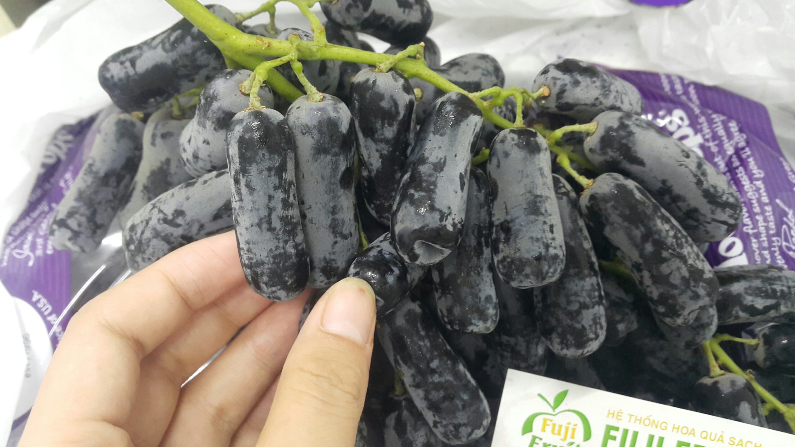 GIÁ NHO MÓNG TAY MỸ HIỆN NAY TRÊN THỊ TRƯỜNG ? | FUJI FRUIT | Hệ thống hoa quả sạch nhập khẩu Fuji