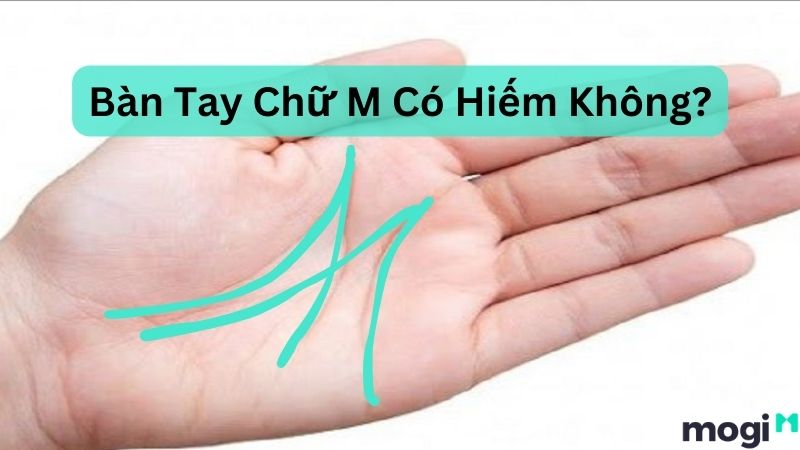 Vận Mệnh Người Có Bàn Tay Chữ M: Cực kỳ May Mắn