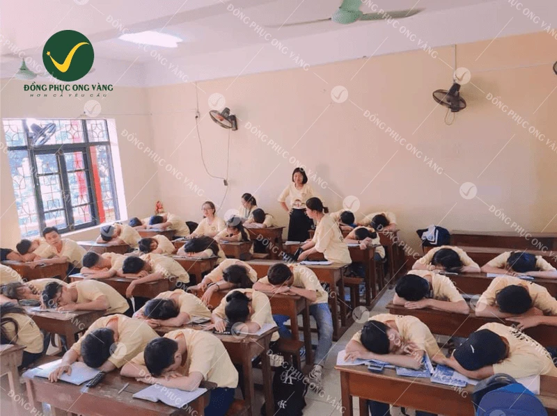 Đồng Phục Lớp - Học Sinh