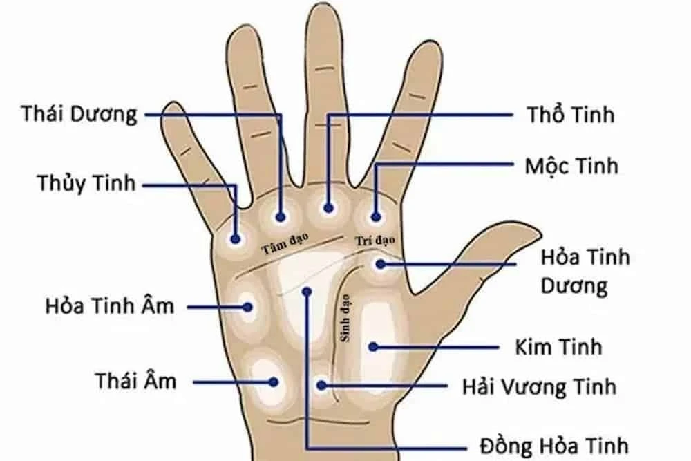 Giải mã ý nghĩa nốt ruồi trong lòng bàn tay theo các vị trí