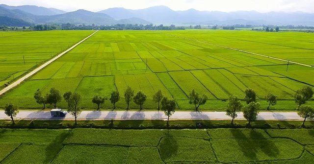 1 công đất vườn bao nhiêu tiền