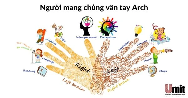 Chủng vân tay Arch và cách nhận dạng chủng vân tay núi này