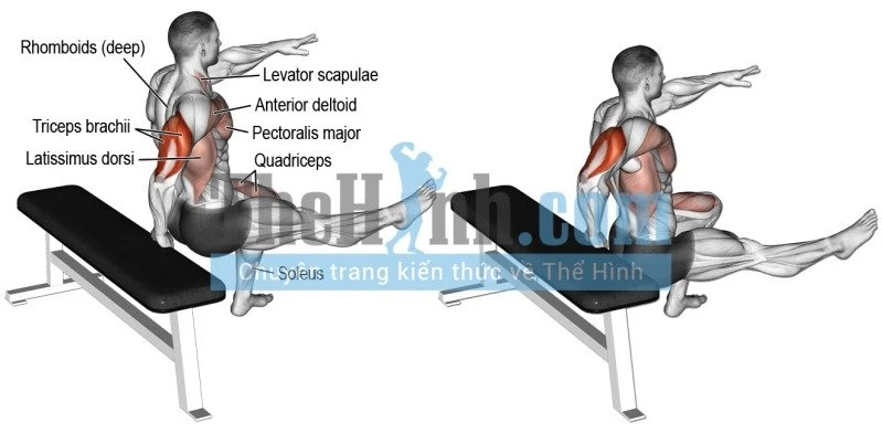 One Arm Bench Dip