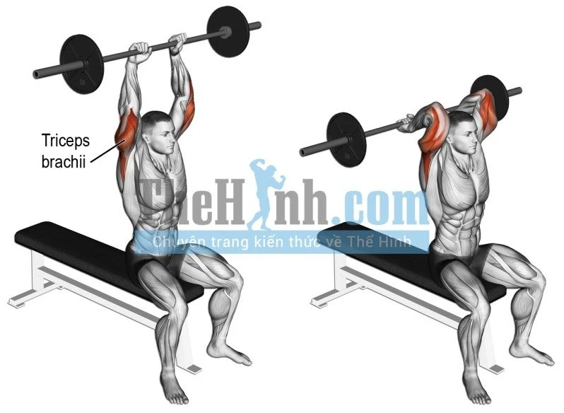 Overhead Barbell Triceps Extension