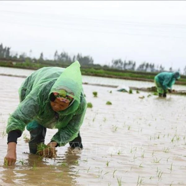 10+ Mẫu Áo Mưa Cao Cấp, Bền Bỉ, Chống Nước Tuyệt Đối