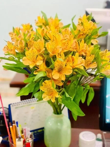 Hoa Thủy Tiên - Sứ Giả Của May Mắn Và Hạnh Phúc