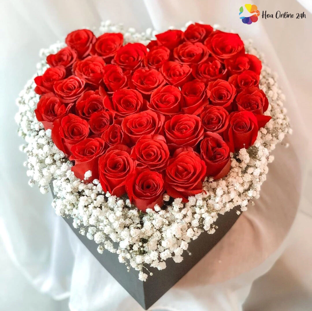 Hoa hồng đỏ biểu tượng tình yêu mãnh liệt