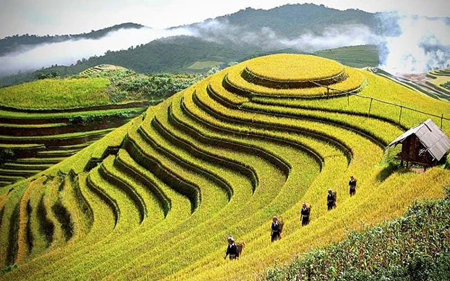 Cảm Nhận Về Đoạn 3 Tây Tiến Trong Tác Phẩm Quang Dũng