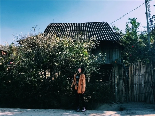 Tháng 3 hoa ban nở, bỡ ngỡ lạc giữa rừng hoa