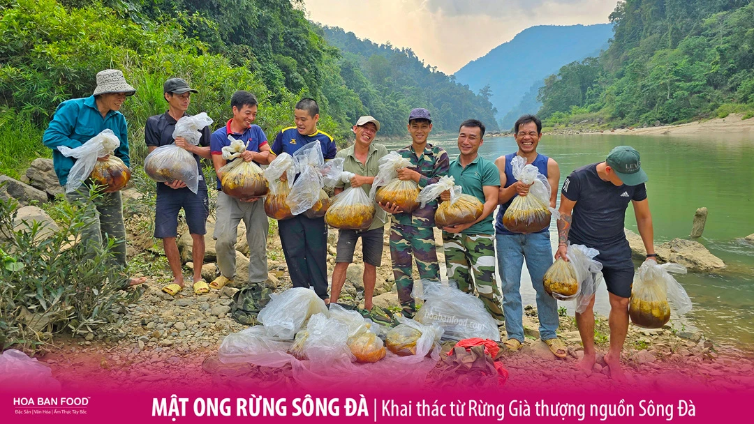 Khám Phá Giá Trị Của Mật Ong Rừng Hoa Ban