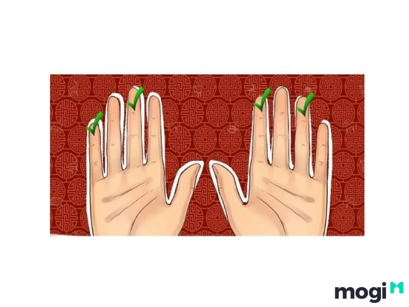 Hoa Tay Là Gì? Luận Đoán Vận Mệnh Của Mỗi Người Qua Cách Bói Hoa Tay