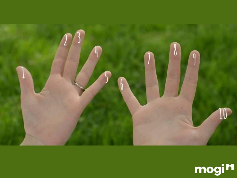 Hoa Tay Là Gì? Luận Đoán Vận Mệnh Của Mỗi Người Qua Cách Bói Hoa Tay