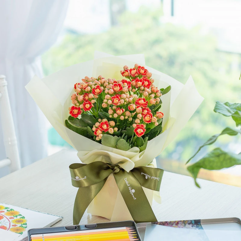 Sống Đời: Nguồn gốc, đặc điểm, ý nghĩa và cách chăm sóc