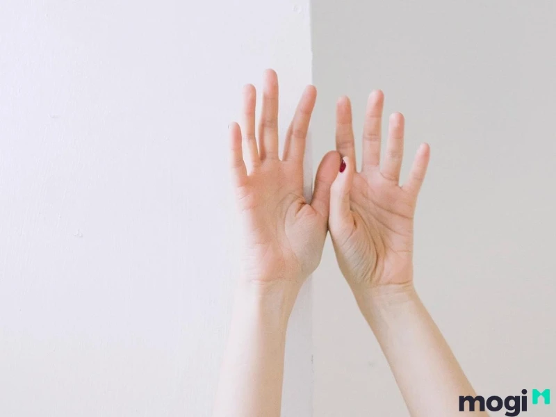 Hoa Tay Là Gì? Luận Đoán Vận Mệnh Của Mỗi Người Qua Cách Bói Hoa Tay