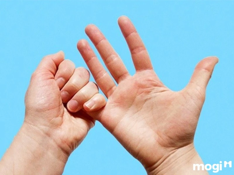 Hoa Tay Là Gì? Luận Đoán Vận Mệnh Của Mỗi Người Qua Cách Bói Hoa Tay