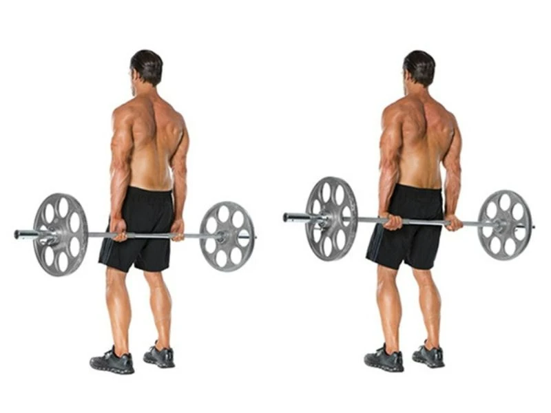 9 Bài tập cơ cẳng tay hiệu quả nhất cho nam