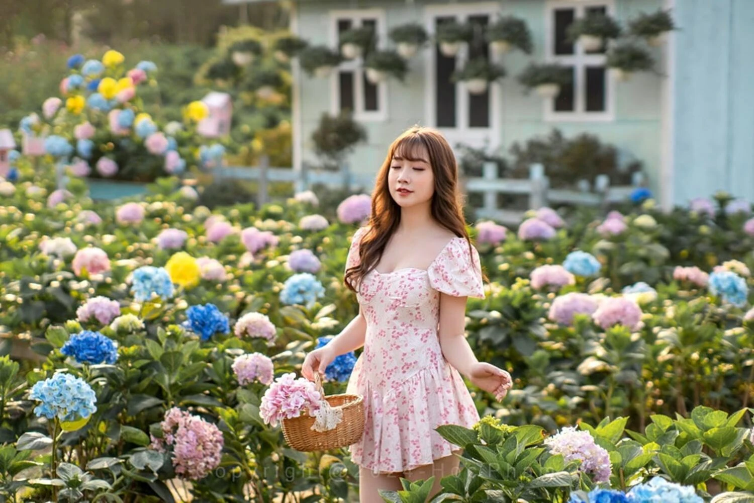 Phim trường Thảo nguyên hoa Long Biên - thiên đường check in sống ảo