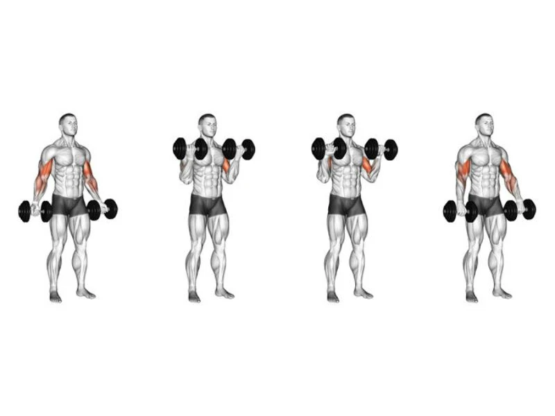 9 Bài tập cơ cẳng tay hiệu quả nhất cho nam