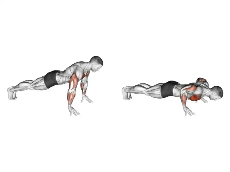 9 Bài tập cơ cẳng tay hiệu quả nhất cho nam