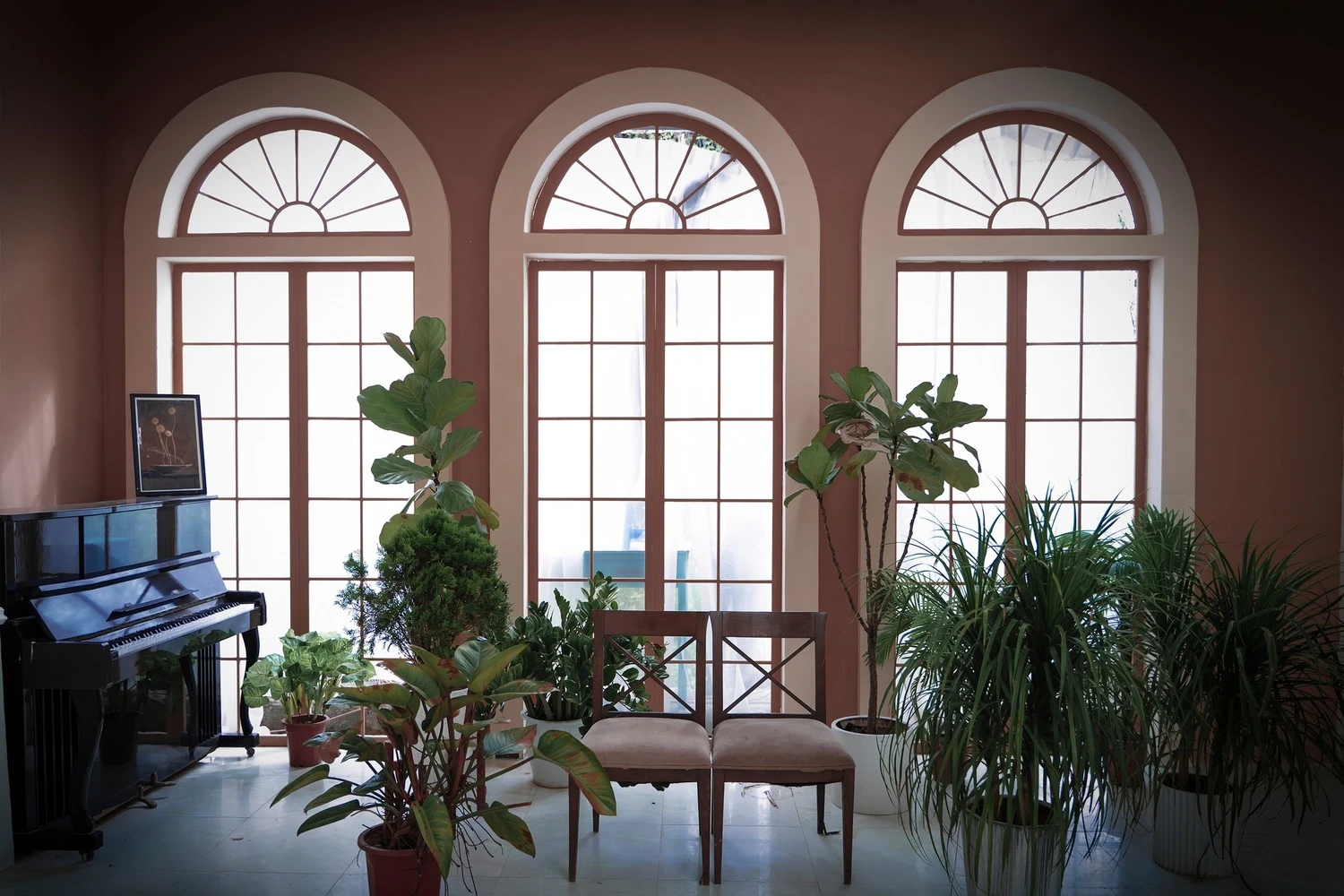 Phim trường Thảo nguyên hoa Long Biên - thiên đường check in sống ảo