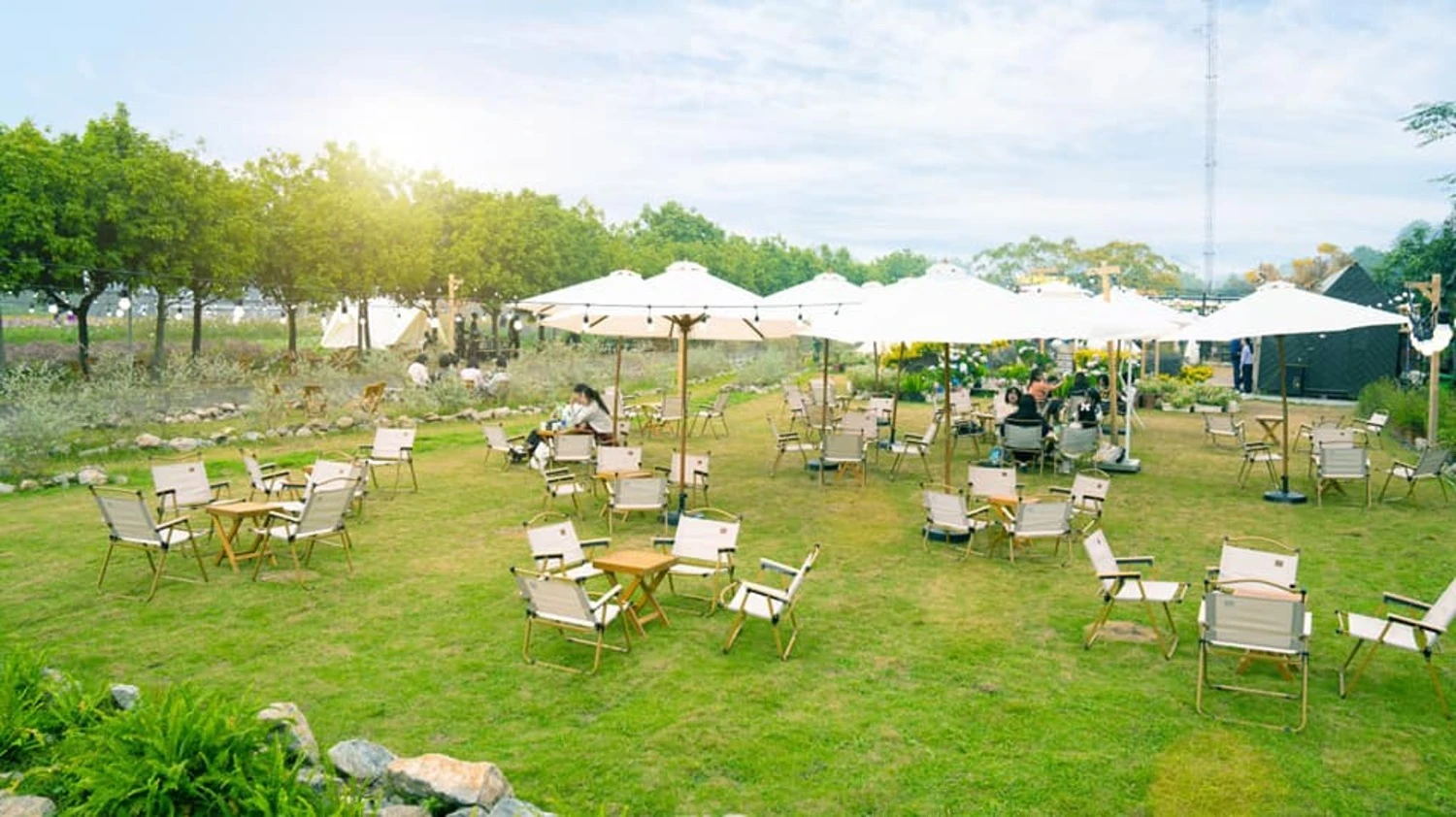 Phim trường Thảo nguyên hoa Long Biên - thiên đường check in sống ảo