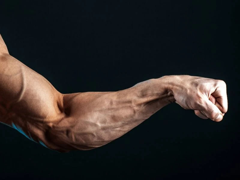 9 Bài tập cơ cẳng tay hiệu quả nhất cho nam