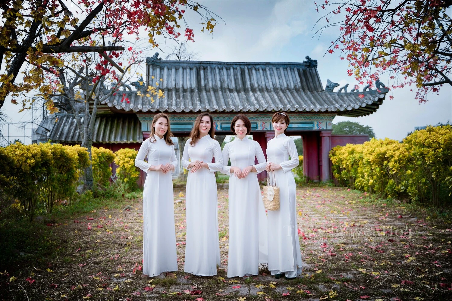 Phim trường Thảo nguyên hoa Long Biên - thiên đường check in sống ảo