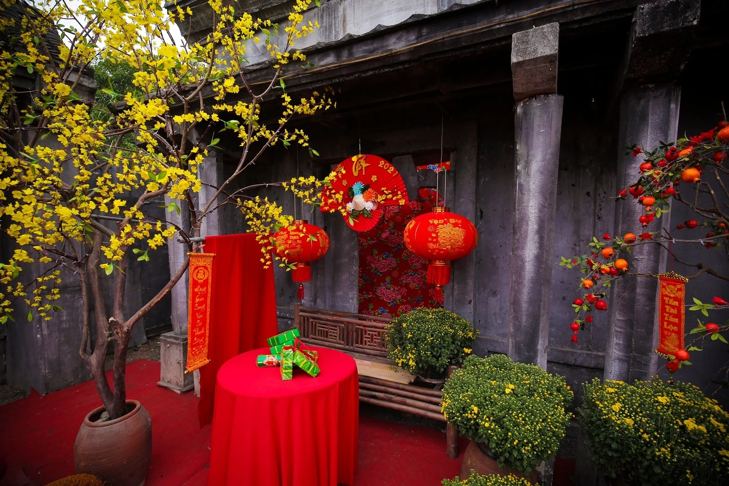 Phim trường Thảo nguyên hoa Long Biên - thiên đường check in sống ảo