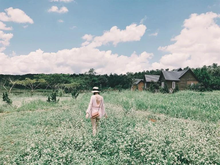 Top 24 vườn hoa Đà Lạt đẹp mê ly được du khách yêu thích nhất 2024