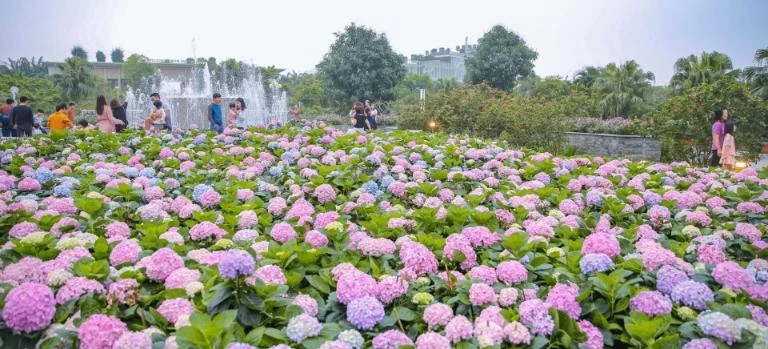 Top 24 vườn hoa Đà Lạt đẹp mê ly được du khách yêu thích nhất 2024