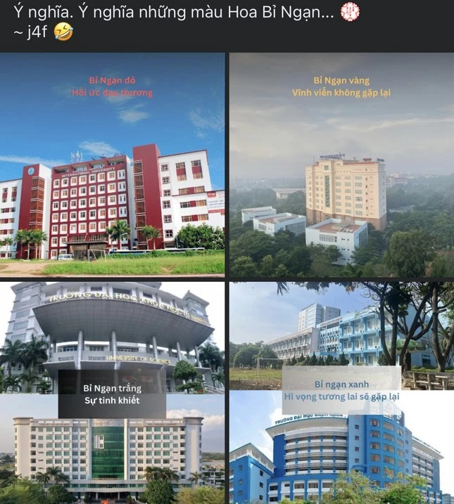 Hoa bỉ ngạn có gì mà giới trẻ tranh nhau bắt 'trend' nhiều đến vậy?