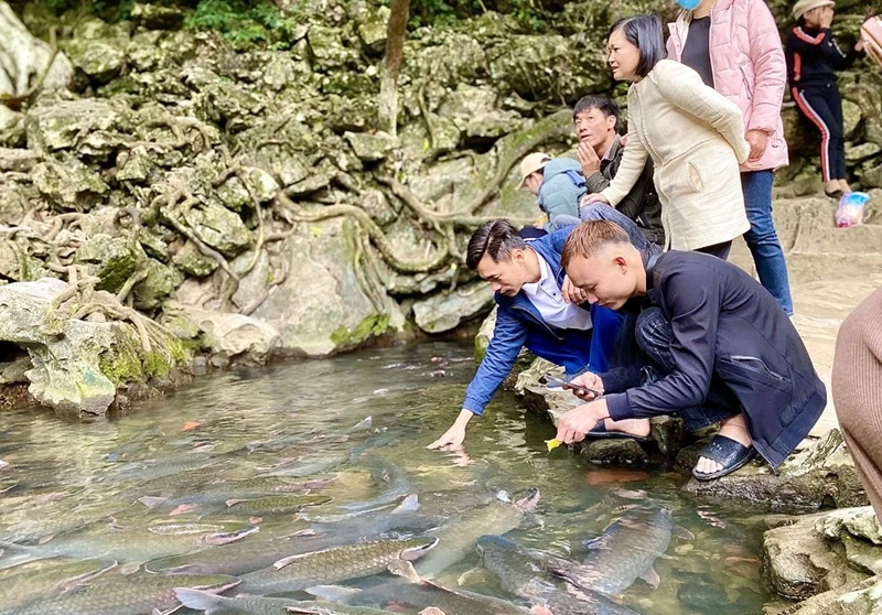 Khám phá suối cá thần Thanh Hóa chi tiết nhất 2024