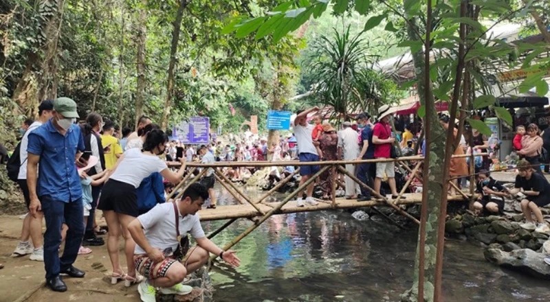 Khám phá suối cá thần Thanh Hóa chi tiết nhất 2024