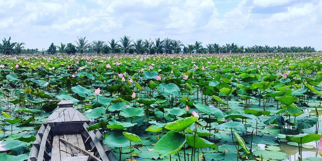 Lịch trình du lịch miền Tây 3 ngày 2 đêm siêu tiết kiệm cùng MoMo