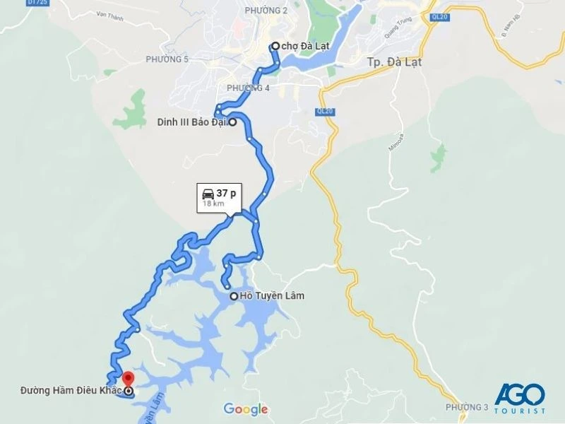 7 địa điểm ngắm hoa dã quỳ Đà Lạt đẹp nhất năm 2024