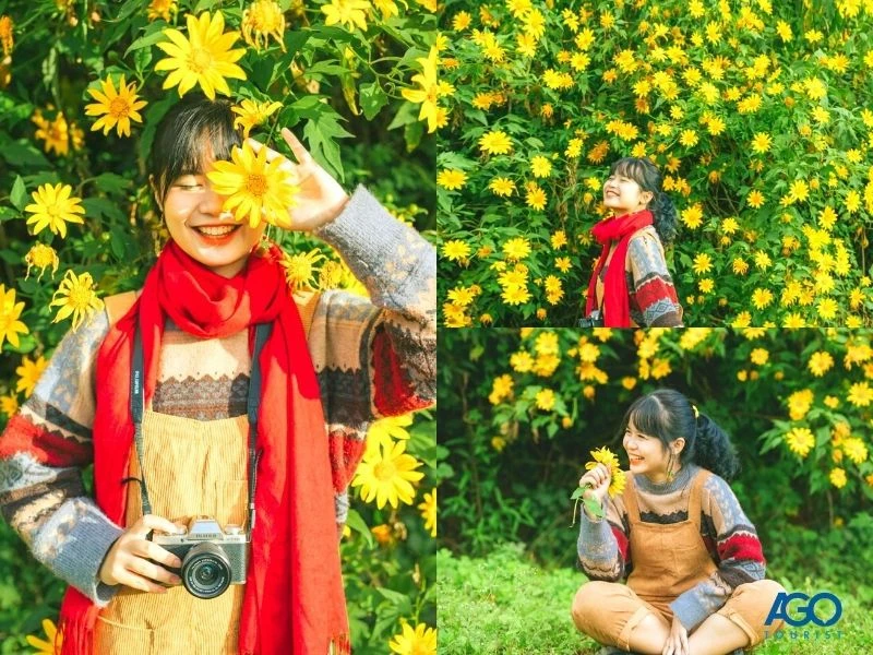 7 địa điểm ngắm hoa dã quỳ Đà Lạt đẹp nhất năm 2024